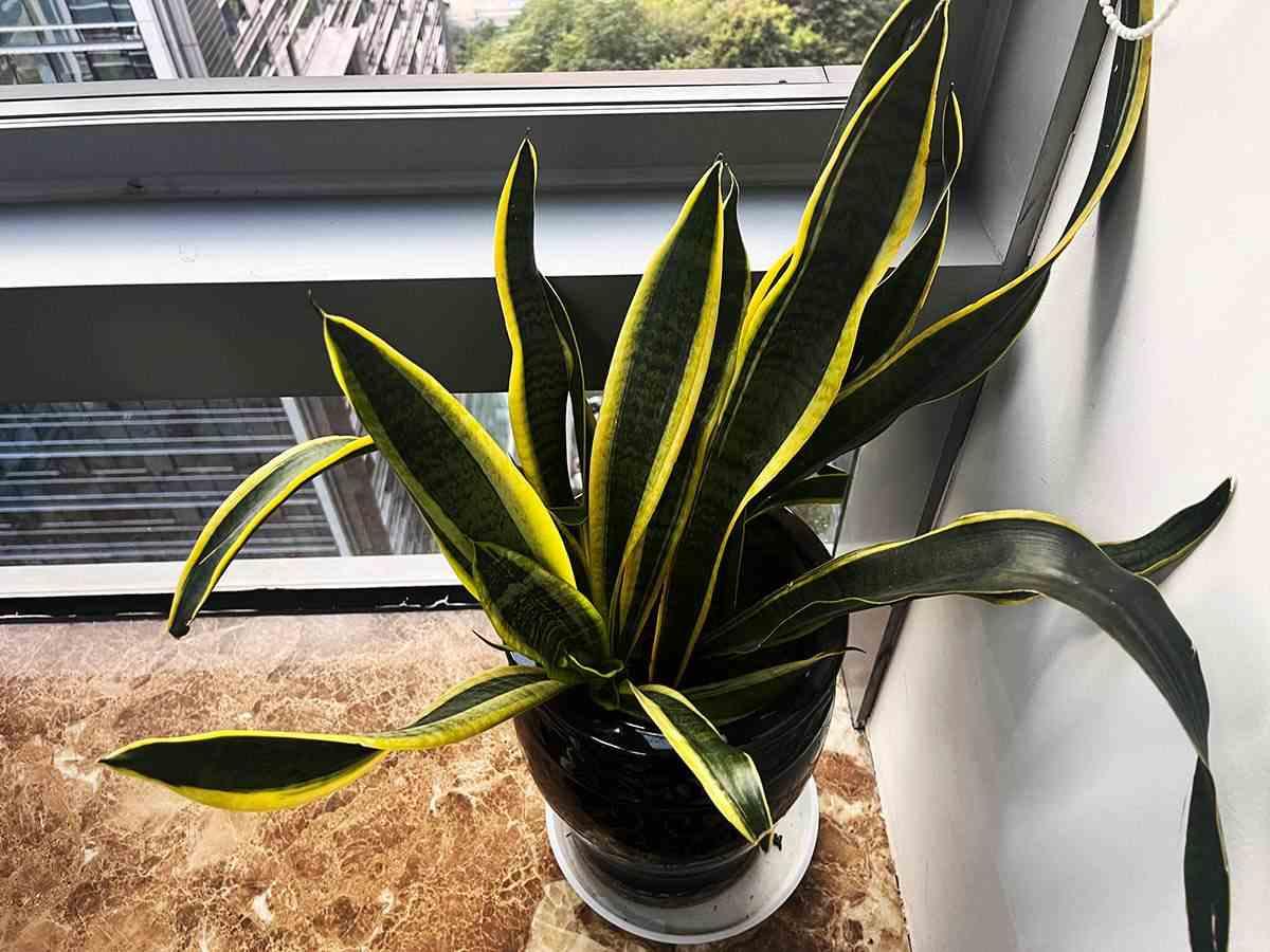 泰州会计代账具有哪些特点