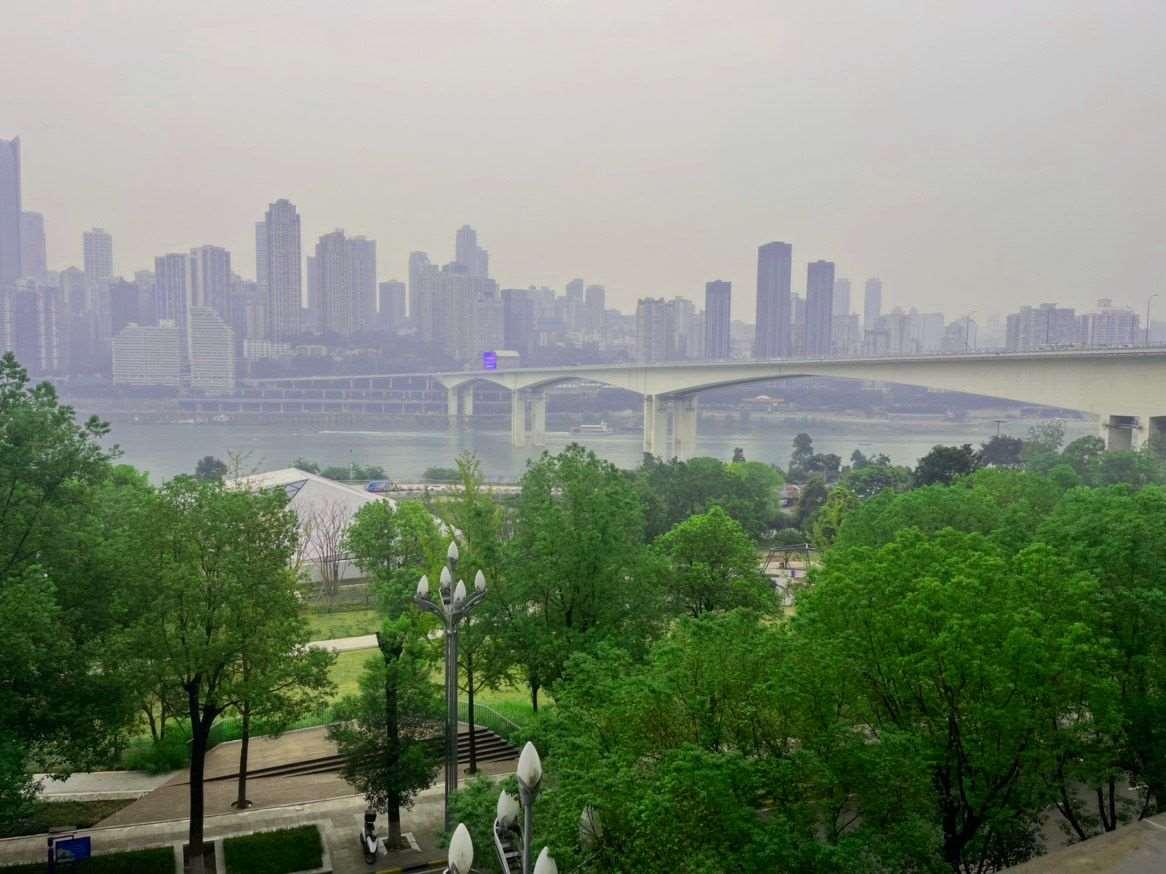 一般纳税人报税流程是怎样的？