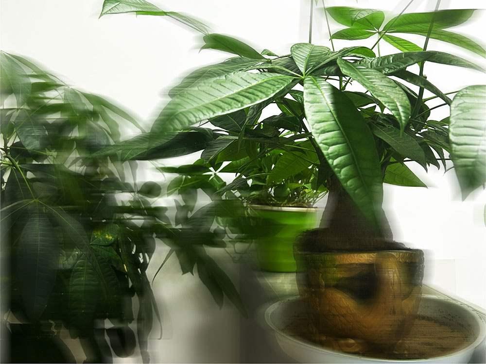 个体营业执照年检有什么用