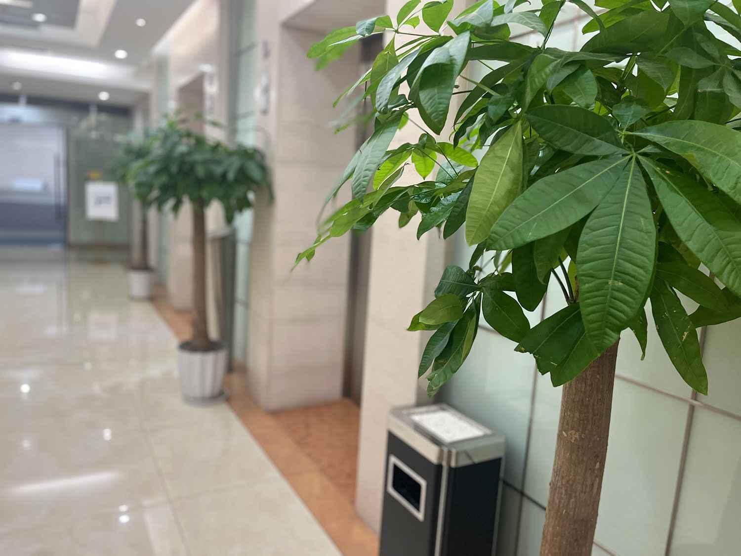 工商网上年检系统的作用是什么