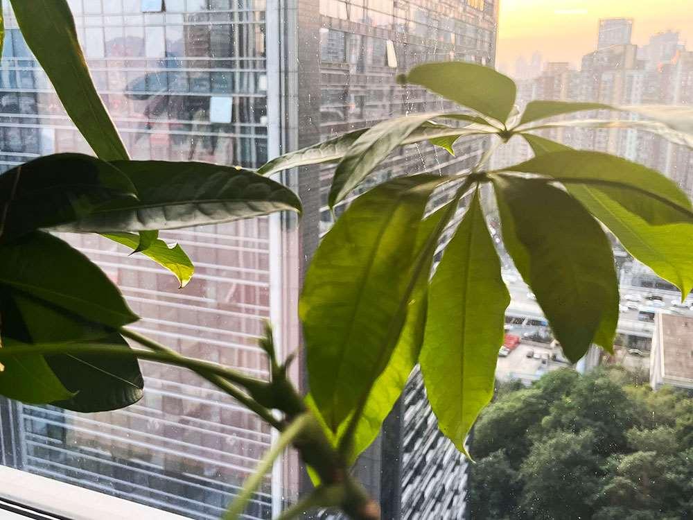 年终奖个人所得税率计算全解析