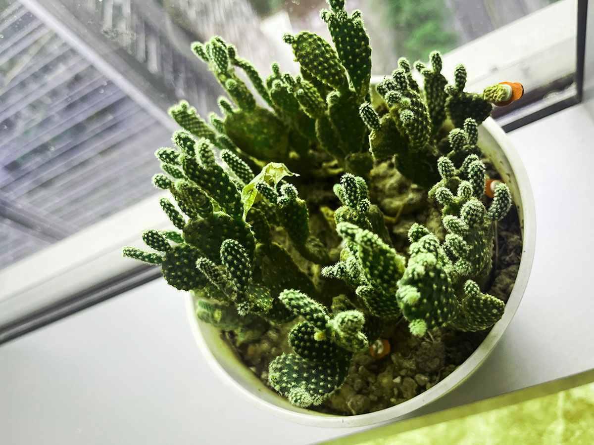 芜湖财务公司的优势