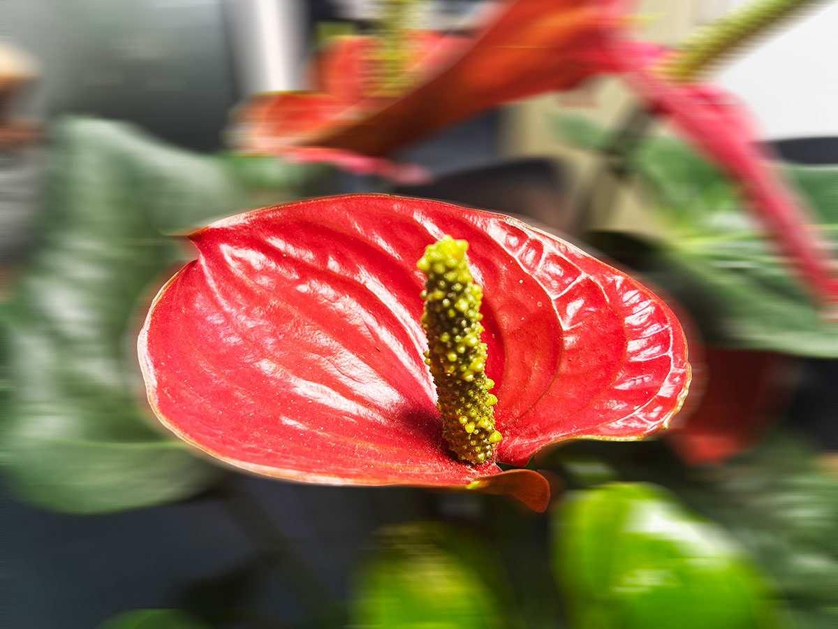 哪些场景需要开建筑发票？