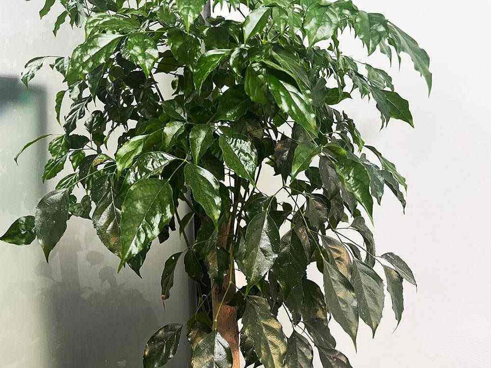 工商注册代理有哪些方法？