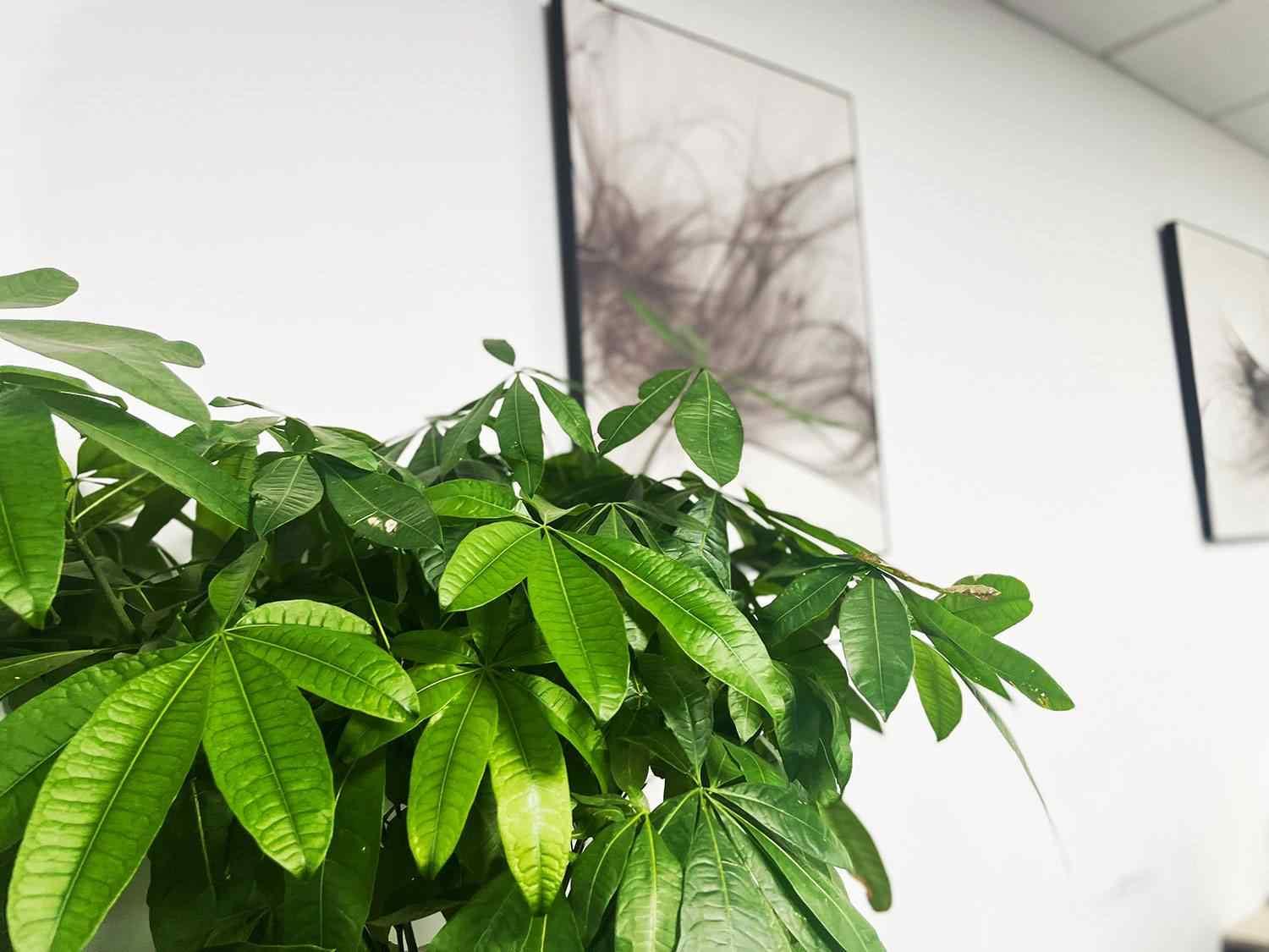 企业所得税筹划如何赋能企业的