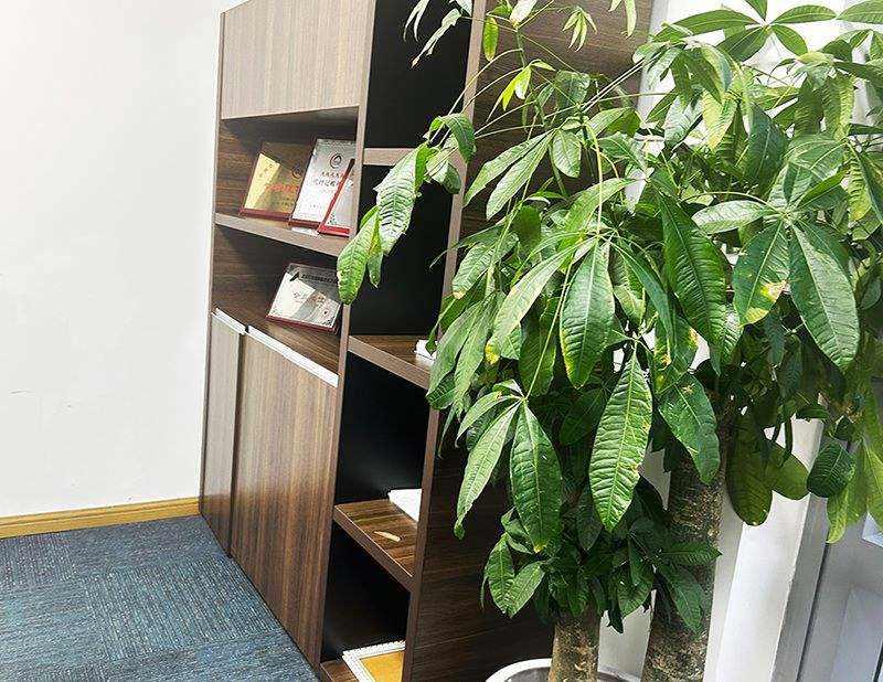 青岛注册公司的方法是什么？