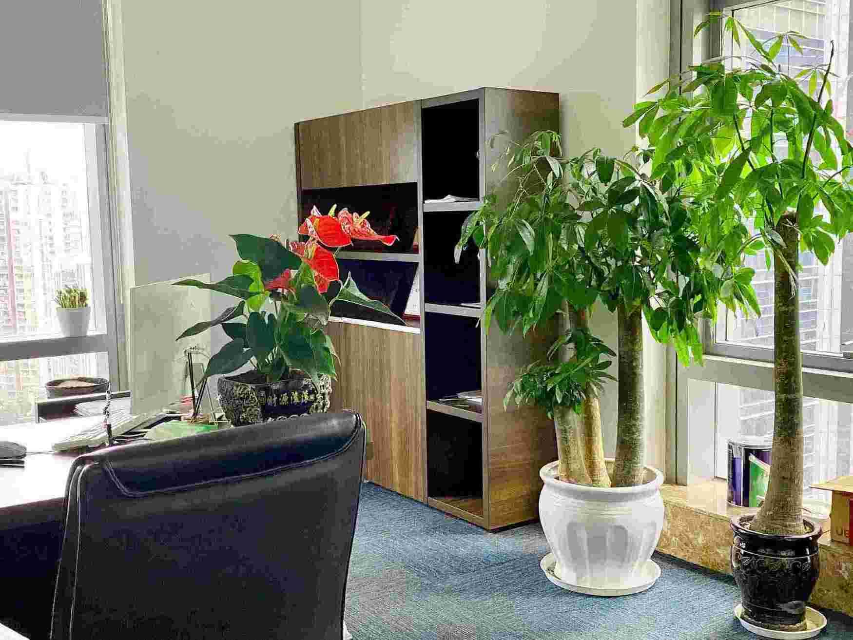 公司名字测算吉凶的方向