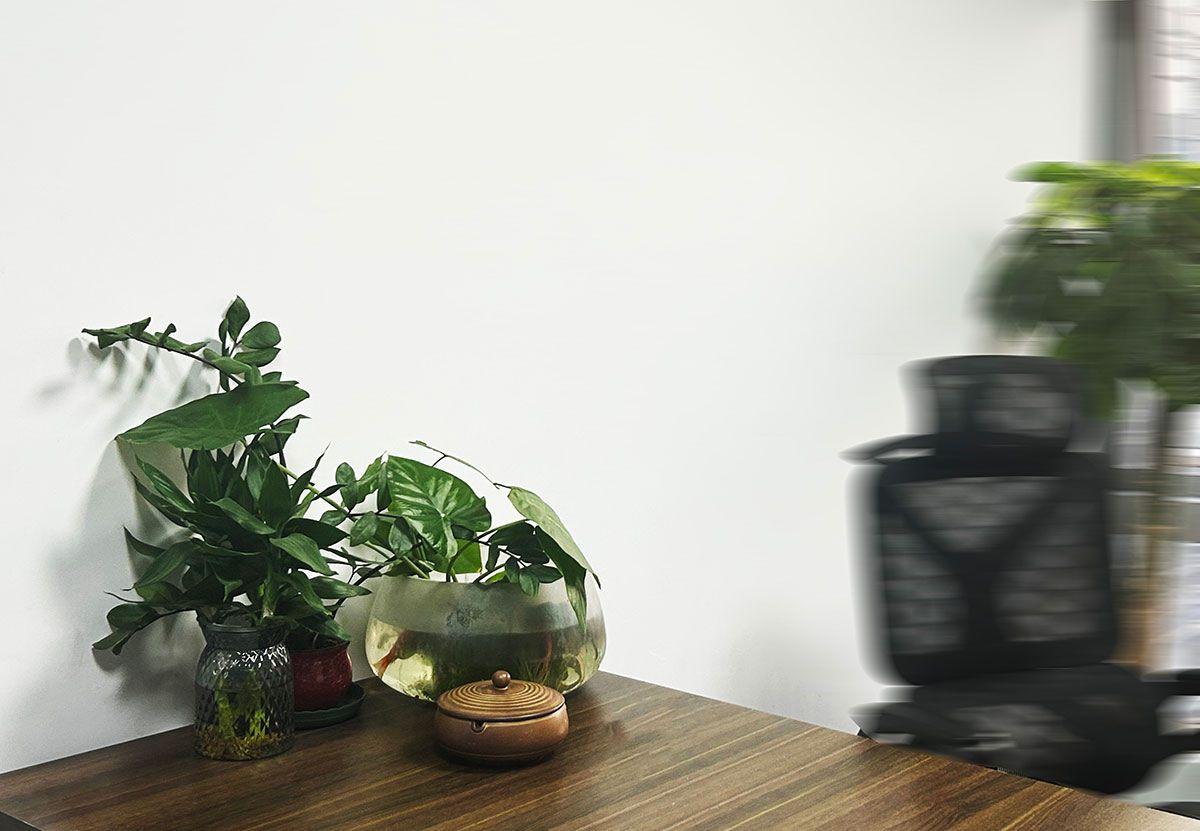 合肥商标注册的功能作用解析