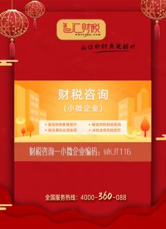 财税咨询（小微企业）