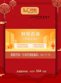 财税咨询（专项咨询版）