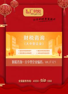 财税咨询（大中型企业）