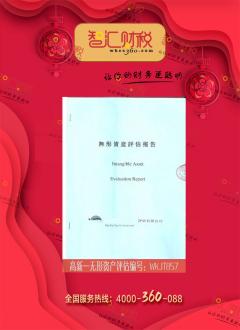 无形资产评估