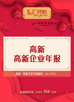 高新企业年报
