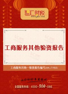验资报告