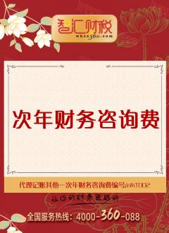次年财务咨询费