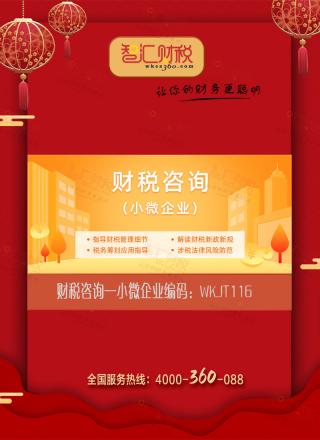 财税咨询（小微企业）