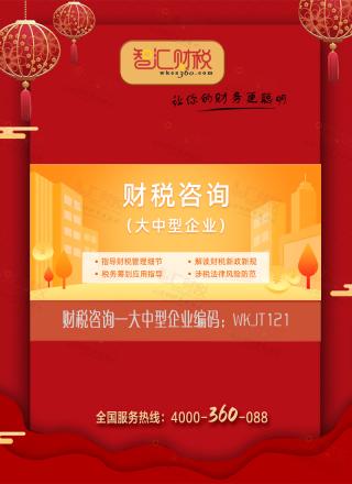财税咨询（大中型企业）