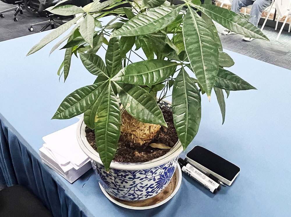 长春汽修的发展前景如何