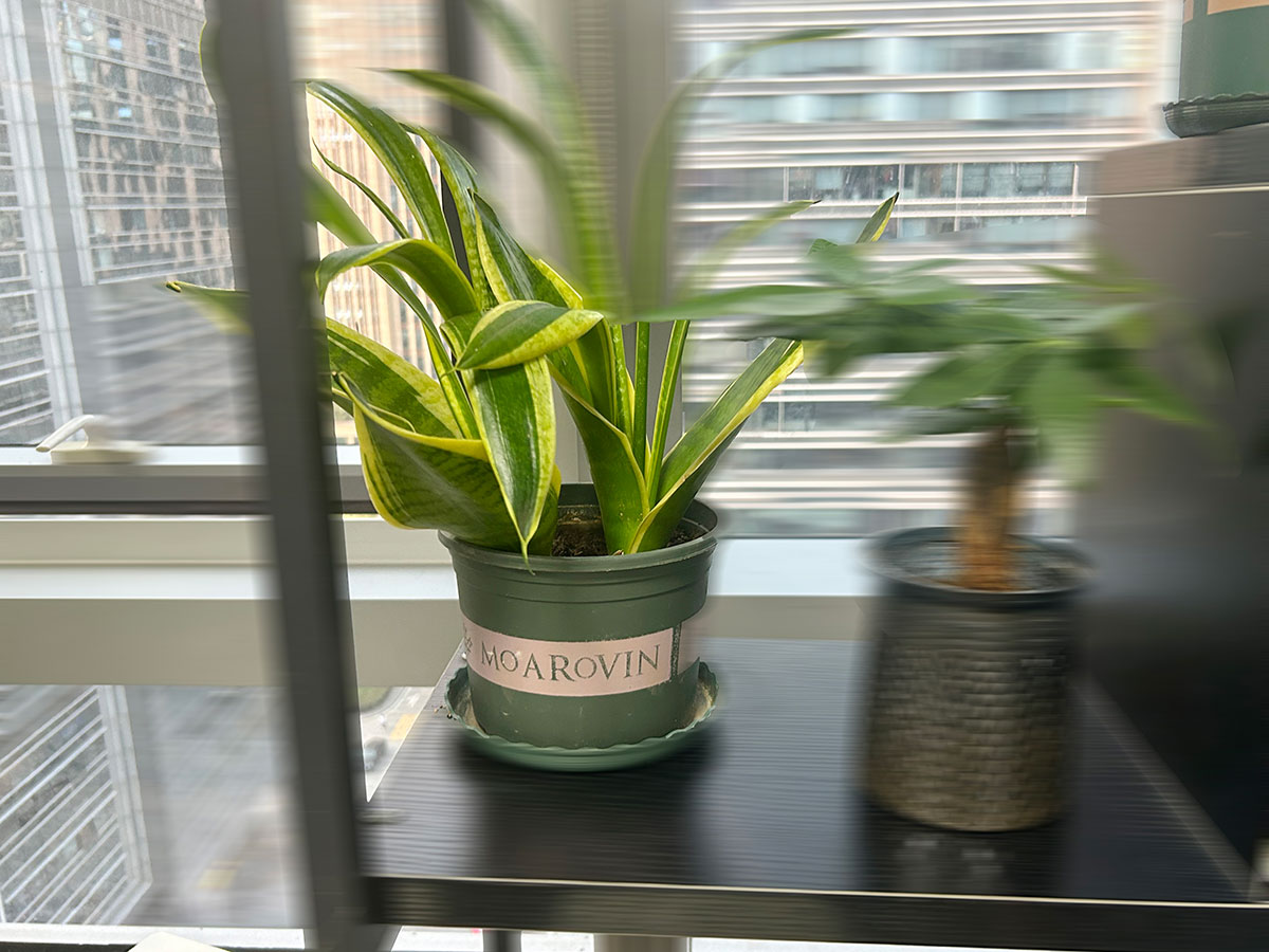 分析汽车维修行业现状