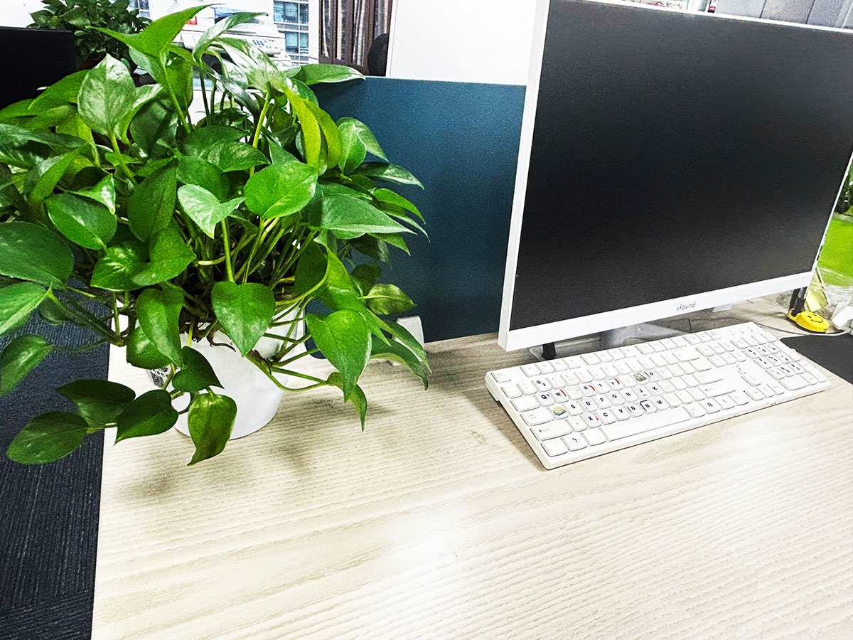 汽车维修服务标准及要求