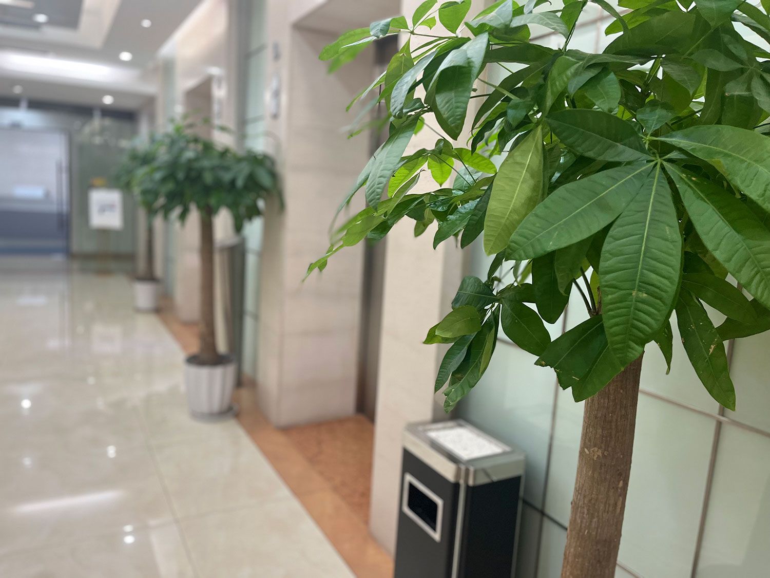 汽车维修包括哪些项目