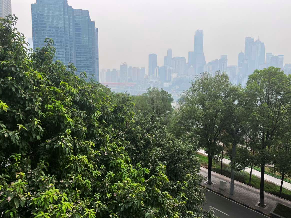 公司注册流程完成后怎么处理