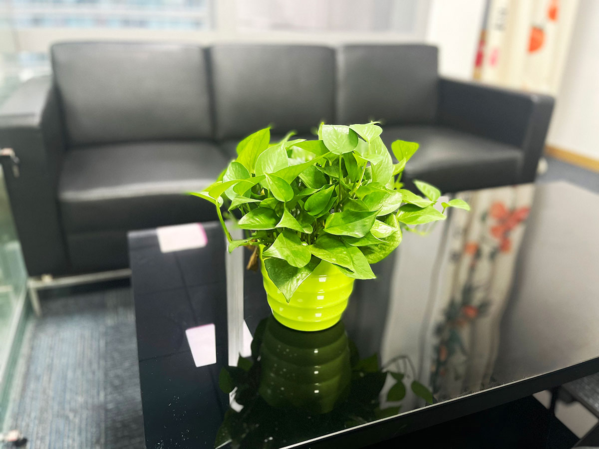 个人独资企业名称有哪些特点