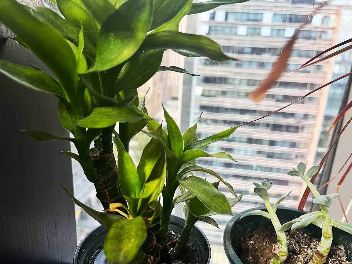 常用的汽车空调维修设备